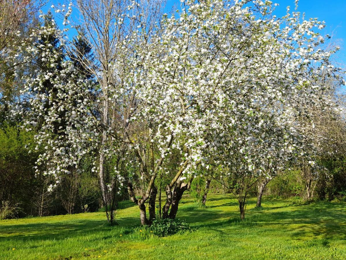 Domaine Pastel Bed & Breakfast Besson Dış mekan fotoğraf